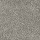 Tarkett Home Carpets: Pinnacle Nickel